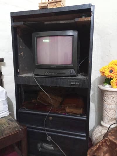 Sony Tv with tv troly