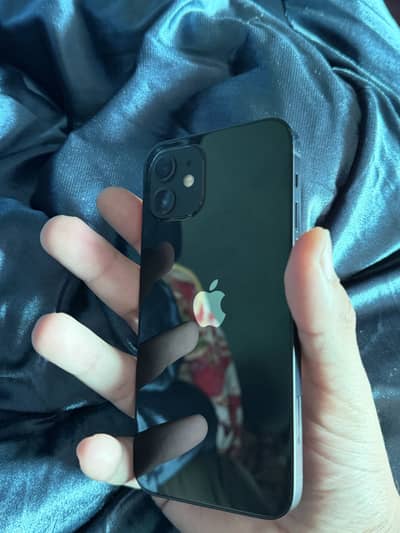 iphone 12 dual pta approved