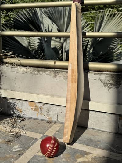 Cricket Bat | 10/10 Condition
