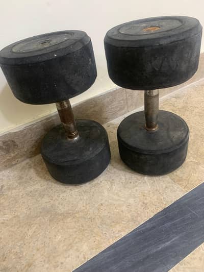 8kg × 2 Dumbbells for Sale – Like New Condition (Total 16kg)