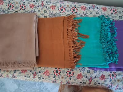 ladies woollen shawls  for sale
