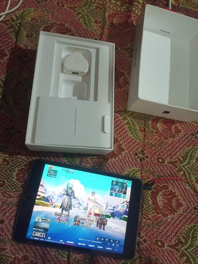 Ipad mini 5