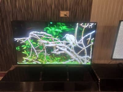 55 Inch Hisense Smart LED TV available on reasonable price