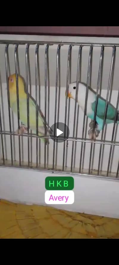 HKB AVERY HASSAN ABDAL