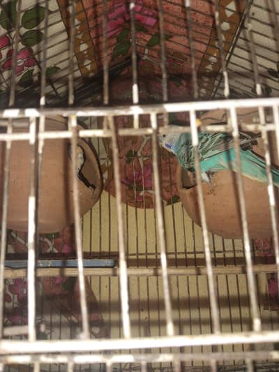 only jis na lany ha wo rabta kry