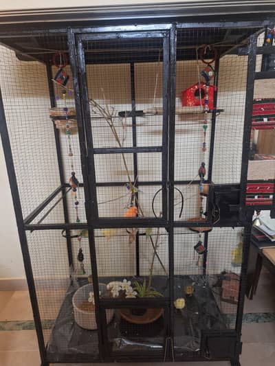 big cage for parrots/finches