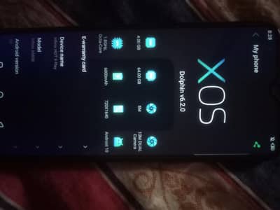 zabardas bettry timing