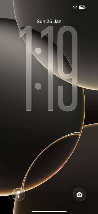 Iphone 16 Pro Max 100 health desert titanium 256 GB Jv like New