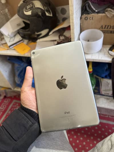 Ipad mini5
