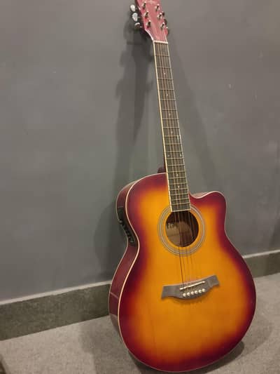 Electric Acoustic Guitar
