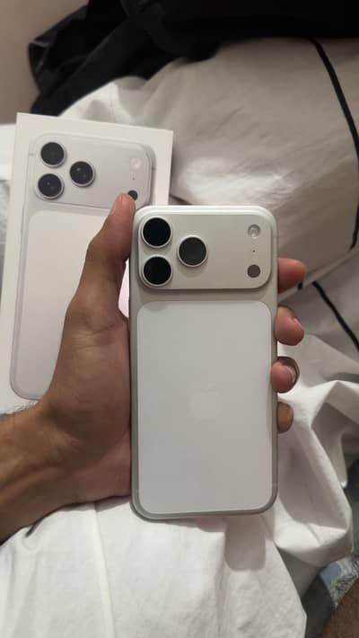 contact on whatsapp only