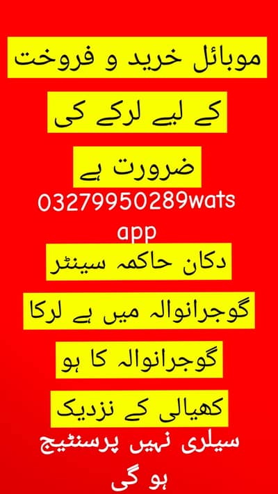 wattsapp no 03279950289