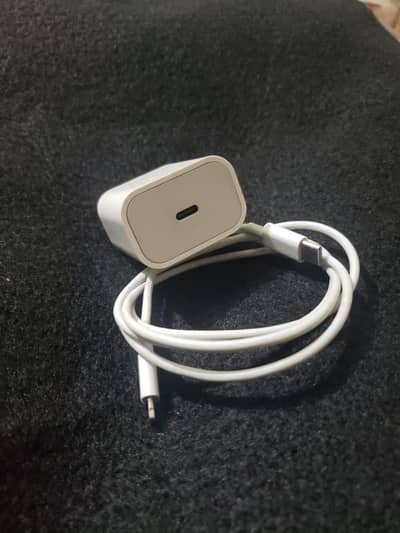 iPhone charger