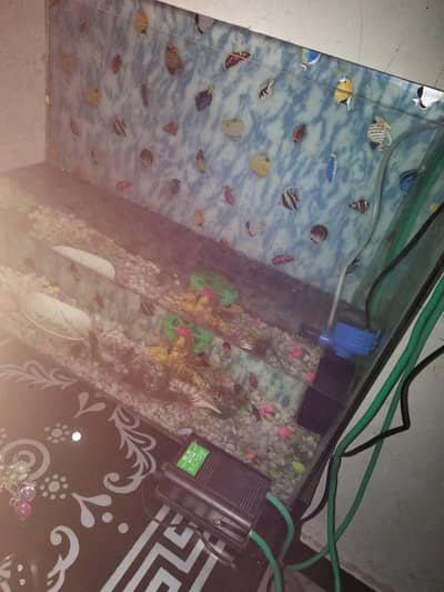 Fish Aquarium. and 1 fish for sale. with 2 pumps