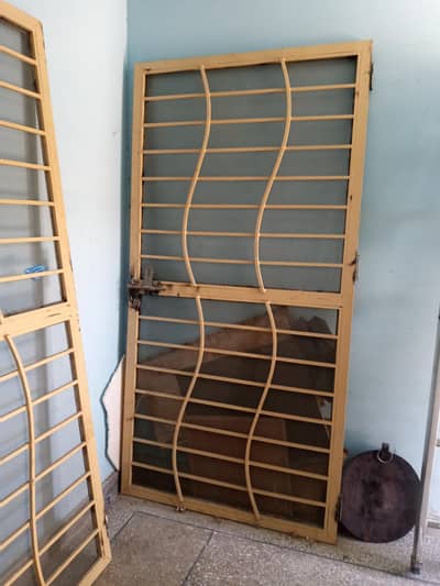 double mesh iron doors