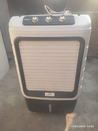 lush condition out class peace