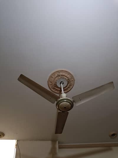 on ceiling fan condition 9/10