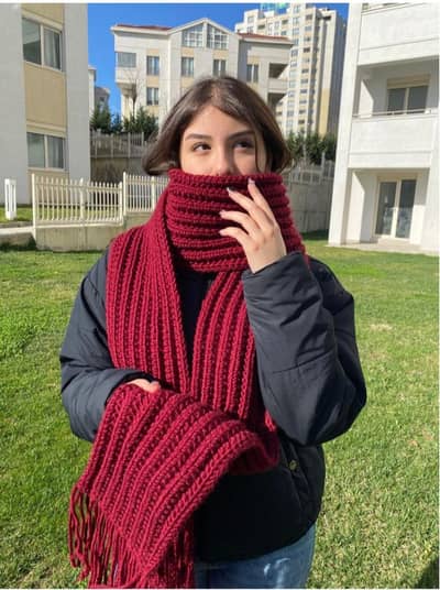 Mikasa Scarf