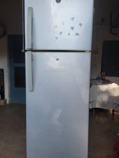 Pel Fridge For Sale