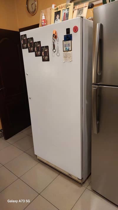 GE imported no frost stand up freezer