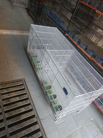 Cage 4 feet length  for parrots and finches  position wise