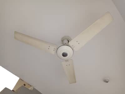 ceiling fan sk gfc royal
