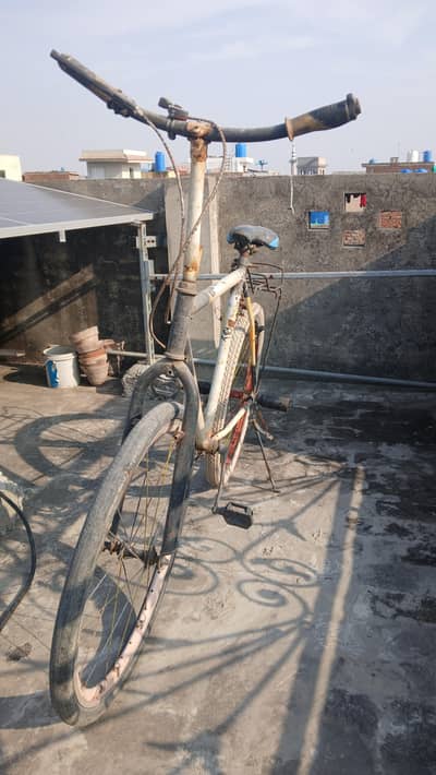 Phonix cycle for sale for very reasonable price