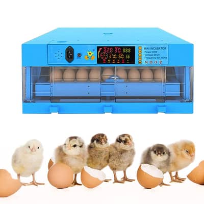 WHOESALE | 64 Eggs New Intelligent Automatic Egg Incubator 80W 220V/12