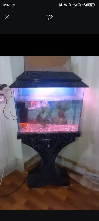 aquarium with complete accessories