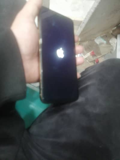 iphone xs mac 256 pta face id or trie tone read add