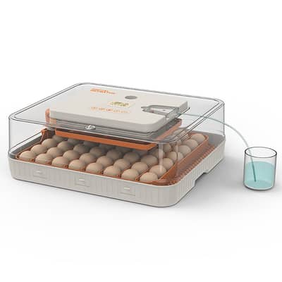 WHOESALE| 128 Eggs New Intelligent Automatic Egg Incubator 80W 220V/12