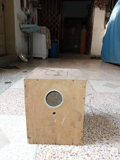 Pure Hard Wood Diyar Green Parrot Box
