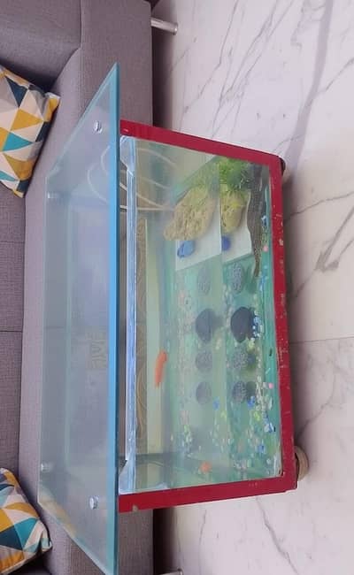 Fish Tank Equarium