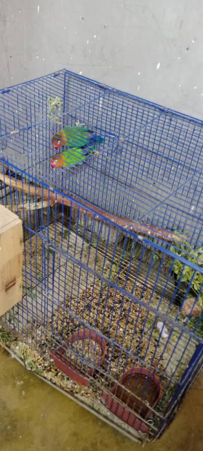 birds Cage (Pinjra) for sale . . .