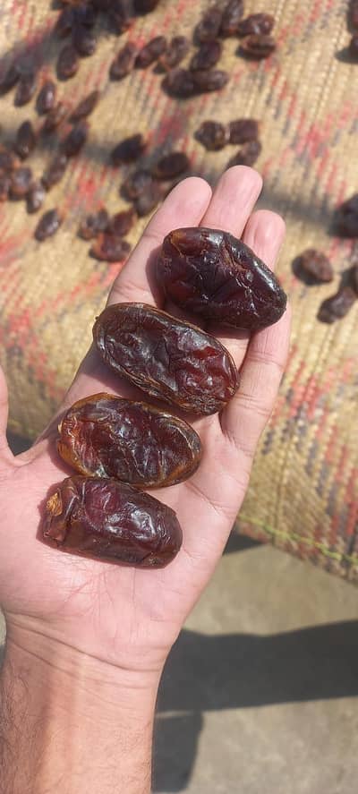 dakhi kahjoor available on bulk rate fresh home delivery available