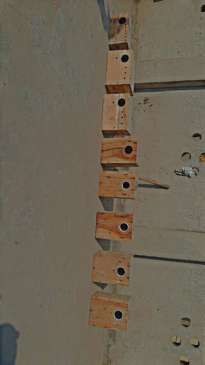 Love bird breading box kikar wood, matti bartan, kikar stick