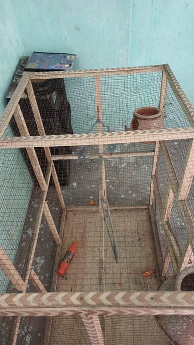urgent sale cage