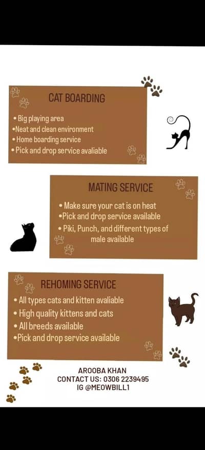 cat boarding service