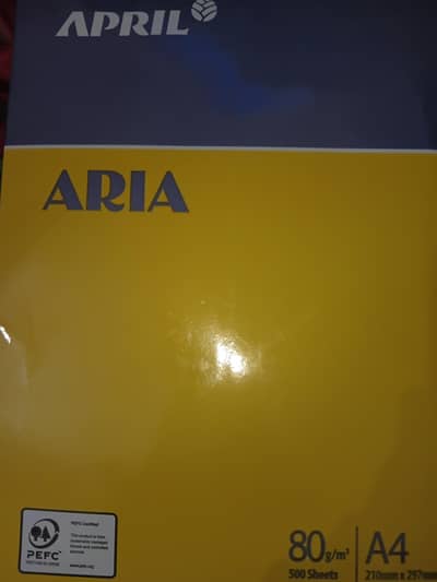 Aria A4 size Rim for sale