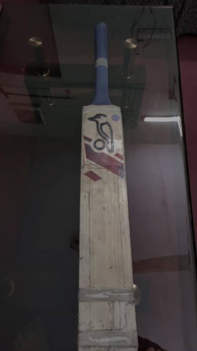 Kookaburra bat English willow