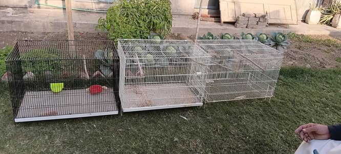 3 bird cages new in condition for contact : 03094233034