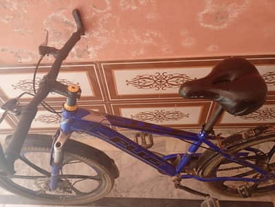 sports Bicycle branded