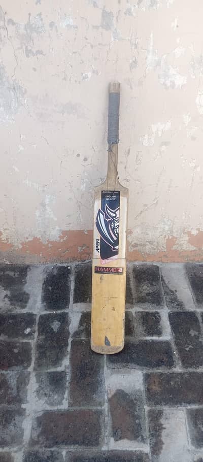 cricket bat