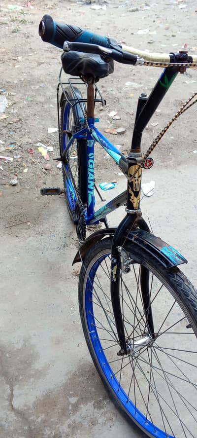 Hit-Giant 26inch bicycle