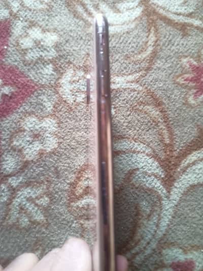 iPhone XS Max only mobile ha