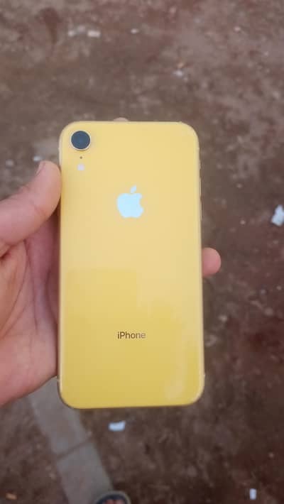 I phone Xr