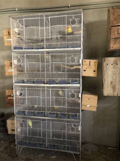 Title: 8 Bird Cages for Sale (Can Be Made One Big Cage)