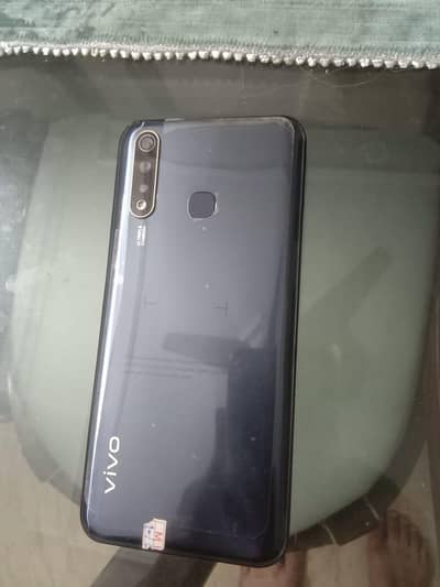 vivo y19 pta approved