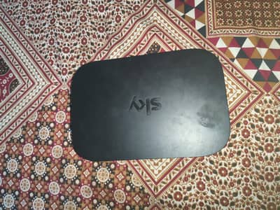 SKYWorth Networking Hub.