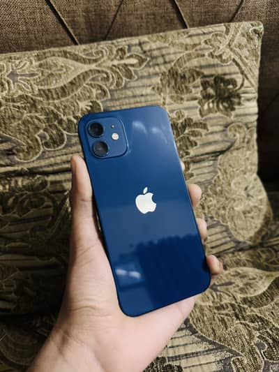 IPHONE 12 64 Gb